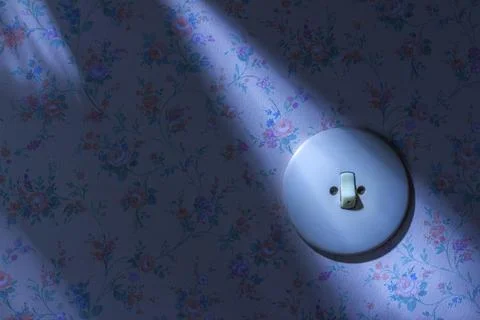 An old wallpaper with light switch. Symbolic photo for renewal and renovation. Stock Photos