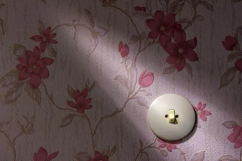 An old wallpaper with light switch. Symbolic photo for renewal and renovation. Stock Photos