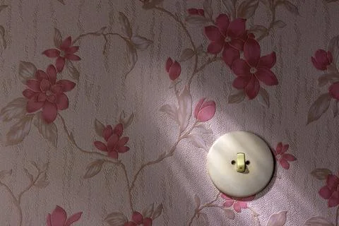 An old wallpaper with light switch. Symbolic photo for renewal and renovation. Stock Photos