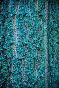 Old warn wood texture Stock Photos