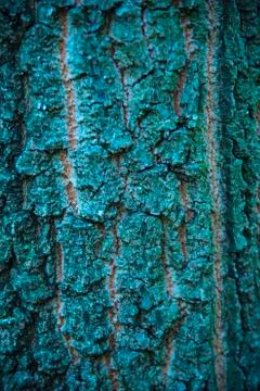 Old warn wood texture Stock Photos
