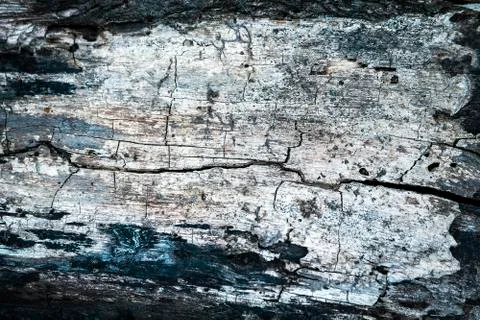 Old warn wood texture Stock Photos