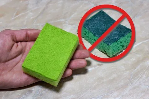 Old washing-up sponge in hand. Kitchen, hygiene, bacteria Stock Photos