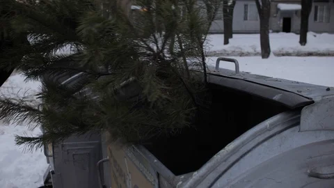 Old waste christmas tree throw away for garbage, trash. Recycling Wrong Vídeos de archivo 101917579