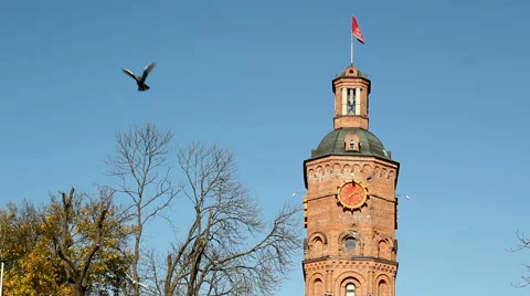 Old Watch Tower with Birds Stock Footage 42852376