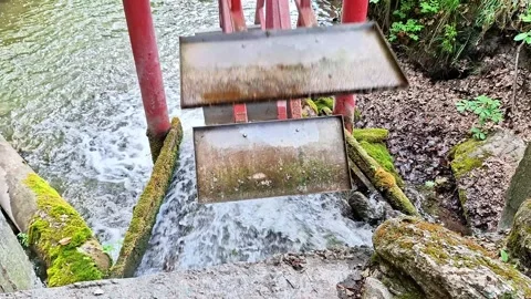 Old Water Mill Sluice Gate with Fast Flowing Stream in Nature Stock Footage 337528364