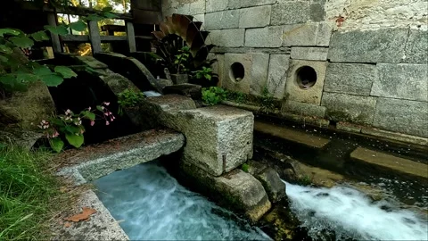 Old water mill in the woods Stock Footage 253339002