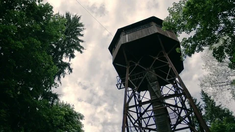 Old water tower in the forest. Stock Footage 96350053