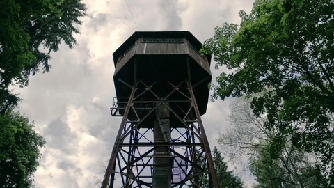 Old water tower in the forest. Stock Footage 96350186