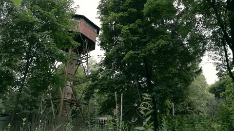 Old water tower in the forest. Stock Footage 96353476