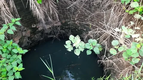 An old water well. Stock Footage 204090161