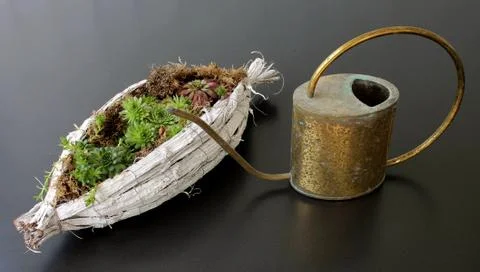 Old watering can. Stock Photos