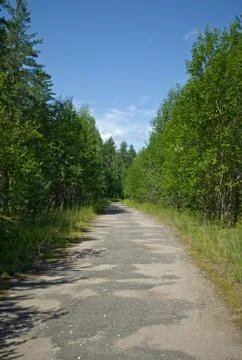 Old way in forest Stock Photos
