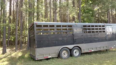 An old weathered and well maintained horse trailer parked in the woods Vídeos de archivo 132607392