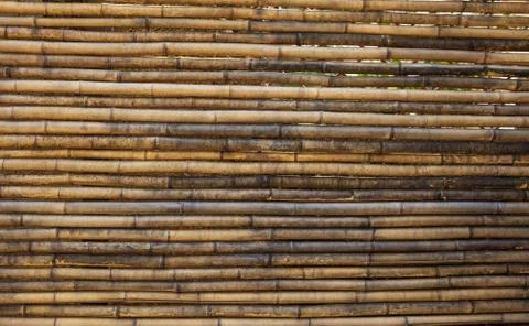 Old weathered bamboo texture, background, closeup view with details Stock Photos