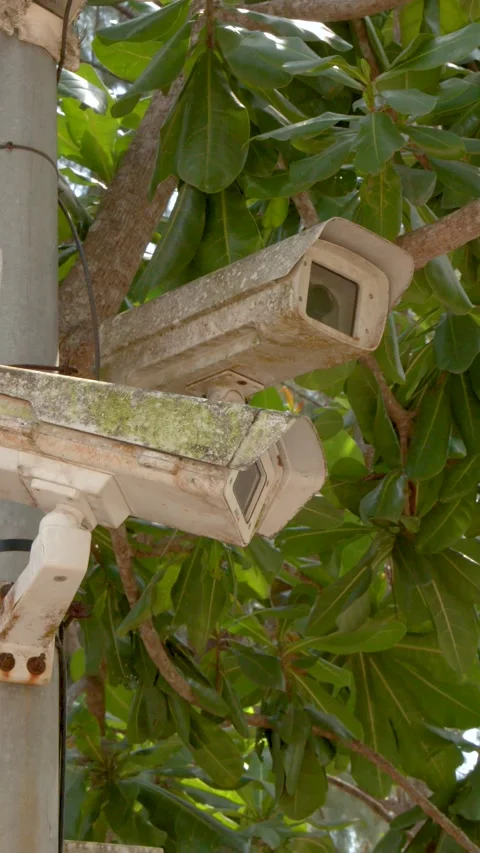 Old Weathered CCTV Security Cameras on Pole in Tropical Krabi Thailand Stock Footage 333604879