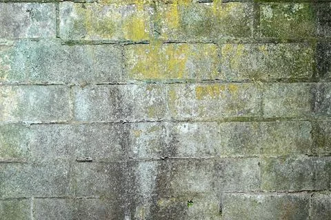 Old weathered concrete block wall with peeling paint, mold, and stains, cre.. Stock Photos