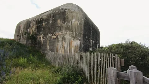 An old, weathered concrete bunker stands amidst overgrown vegetation Vidéo 288799721
