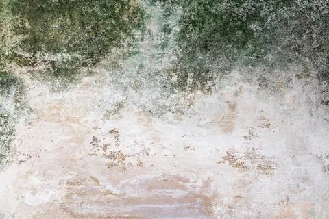 Old, Weathered Concrete Texture with Rustic Details that are Moldy and Cove Stock Photos