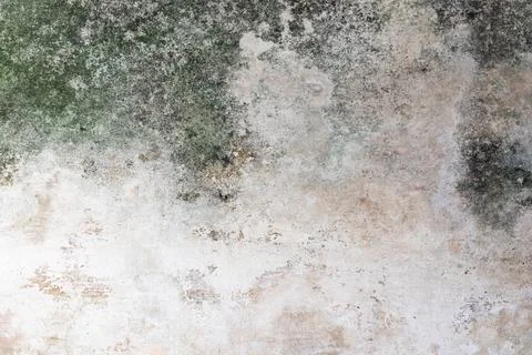 Old Weathered Concrete Texture with Rustic Details that are Moldy and Cover Stock Photos