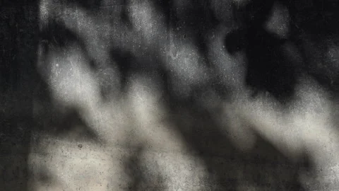 Old weathered concrete wall texture with sunlight with leaves shadow patterns. Stock Footage 330150068
