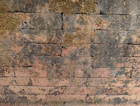 Old weathered red brick wall texture covered with green moss Stock Photos
