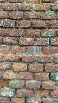 Old weathered red brick wall with visible mortar joints and patches of green Stock Photos