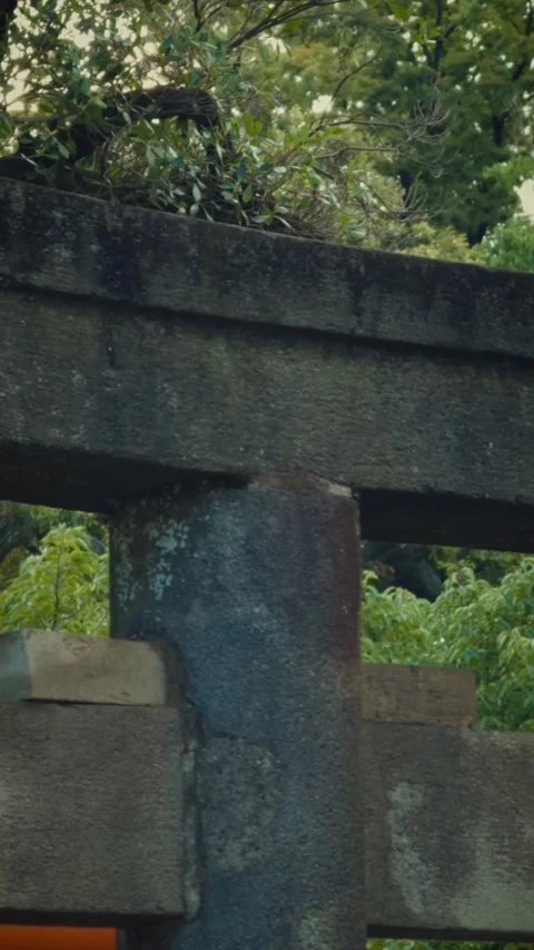 Old weathered stone torii gate at Japanese shrine Stock Footage 346263922