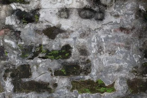 Old weathered stone wall texture with green moss and cracked cement mortar .. Stock Photos