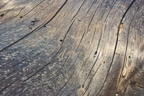 Old weathered tree trunk log texture wood background Stock Photos