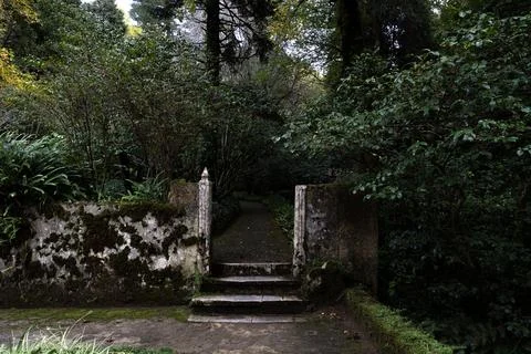 Old weathered wall and steps covered with moss and moisture in a park Stock Photos