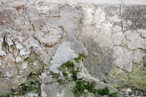 Old weathered wall gray colored. Vintage texture Stock Photos