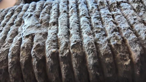 Old Weathered Wall Texture - Ancient Stone and Plaster Slow Motion Macro 4K Stock Footage 328846139