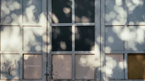 Old weathered window frame with dappled bokeh shadow Stock-Footage 336874948