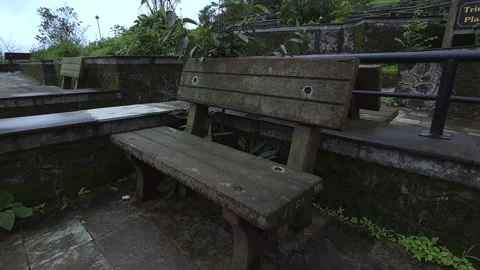 An old weathered wooden bench surrounded by lush greenery. Stock Footage 342047422