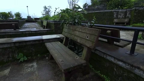 An old weathered wooden bench surrounded by lush greenery. Stock Footage 342047423