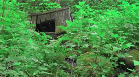 Old well Video stock 11139612