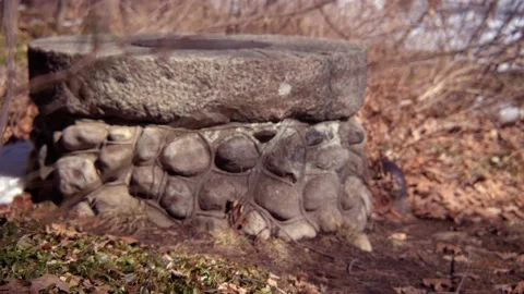 Old well in the forest Stock Footage 171684575