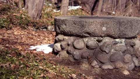 Old well in the forest Stock Footage 171684602