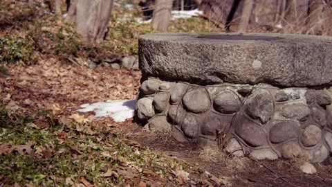 Old well in the forest 動画素材 171684611