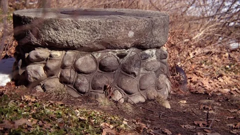 Old well in the forest Stock Footage 171684644