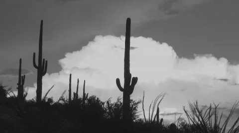 Old West B&W Landscape Time Lapse Stock Footage