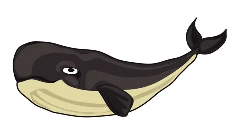 Old whale icon animation Stock Footage 152555877