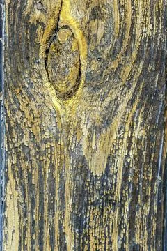 An old wheathered rustic braun dark oak wood texture. Boards with a knot. Gru Foto stock