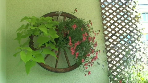 Old wheel with geranium Vídeos de archivo 801922