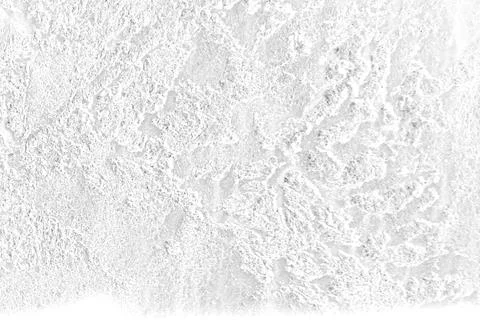 Old white background. Grunge texture. Light wallpaper. Blackboard, Chalkboa.. Stock Photos