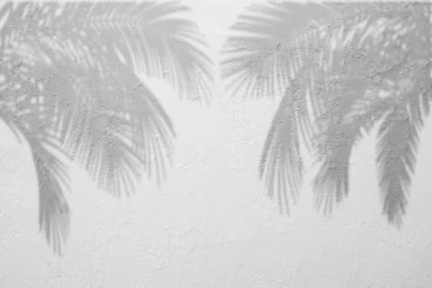 Old white background. Grunge texture. Light wallpaper. Blackboard, Chalkboa.. Stock Photos