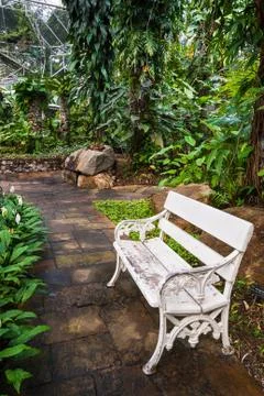 Old white bench. Stock Photos