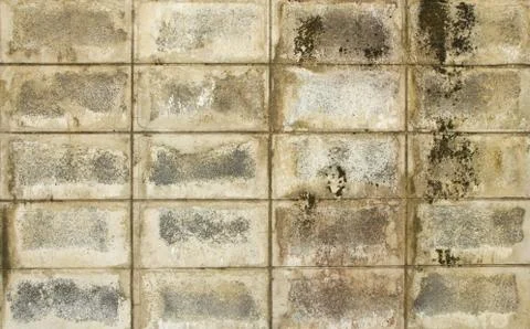 Old white brick wall background Stock Photos