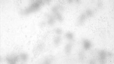 Old white concrete wall with leaves shadows - cracks - top view - background Stock Footage 138187054